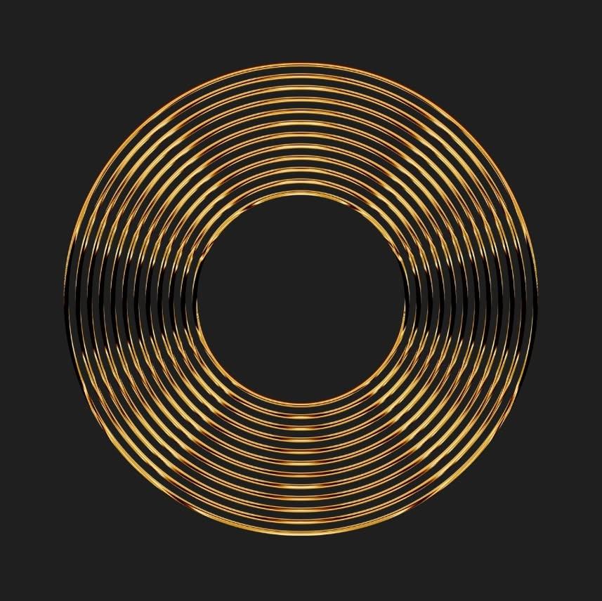 Precious Sound — Steven Tyler